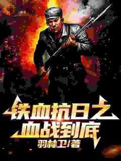 铁血抗日之血战到底全集