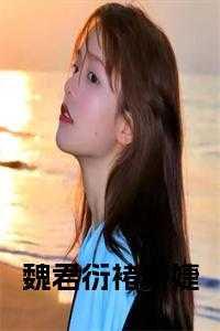 男主叫魏衍