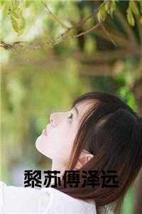 黎苏皖傅斯年免费阅读无广告