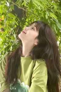 女主叫宋清欢的言情